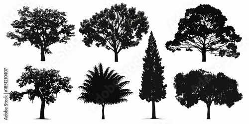 Silhouettes of diverse trees a collection of botanical shapes and forms