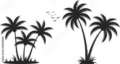 Black silhouette set of tropical palm trees and flying birds, summer beach island landscape elements for vacation and travel design