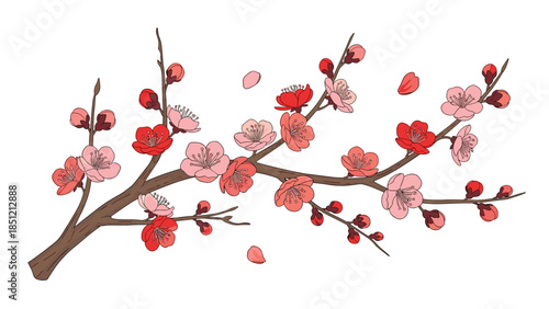 Delicate tree branch adorned with beautiful pink and red cherry blossoms and gently falling petals, symbolizing spring's arrival.