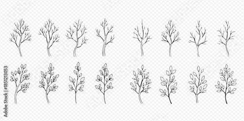 Set of hand-drawn tree branches with and without leaves, depicting spring growth stages.
