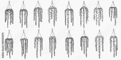 Set of hanging plants in macrame planters, hand drawn outline vector illustration isolated on transparent background.