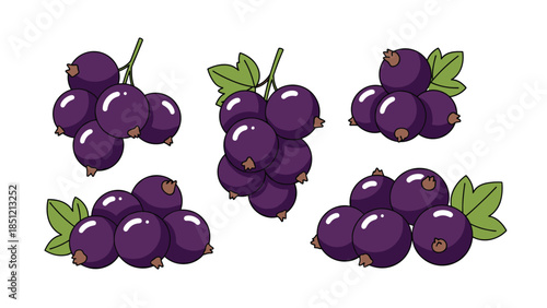 Multiple vibrant bunches of ripe blackcurrants adorned with fresh green leaves, symbolizing healthy fruit and natural goodness.