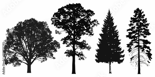 Silhouettes of various tree types against a pure white background