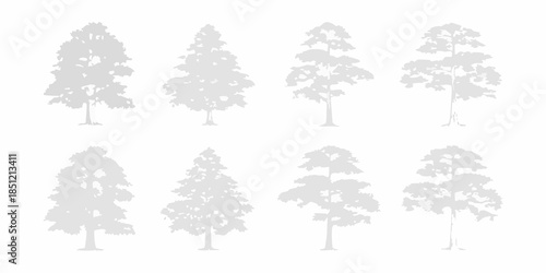 A collection of gray silhouettes depicting various coniferous evergreen trees