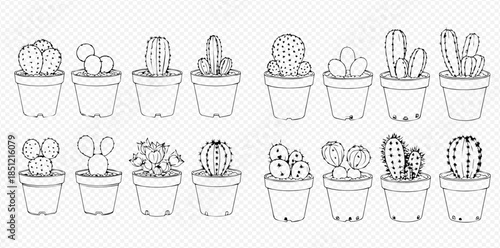 Collection of various hand-drawn succulent plants and cacti in pots, perfect for home decor and garden illustrations.
