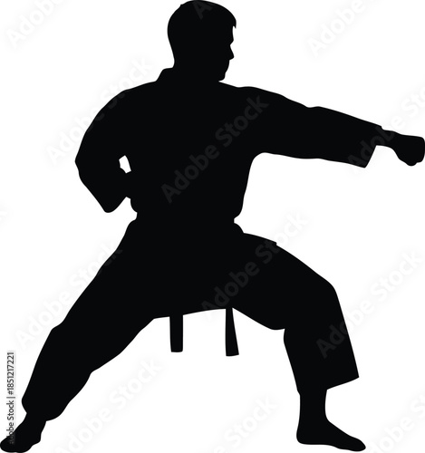 Dynamic silhouette of a martial artist performing a powerful forward punch