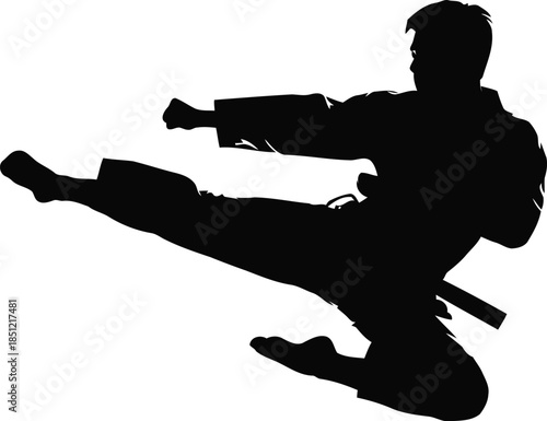 Dynamic silhouette of a martial artist delivering a powerful flying kick in mid-air