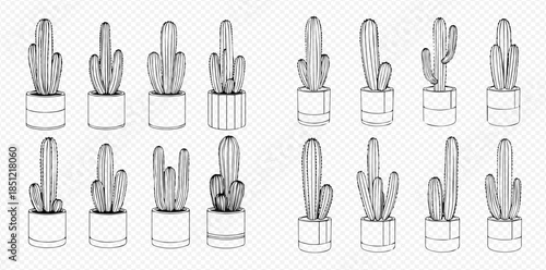 Set of Hand-Drawn Sketch Cacti in Pots, Various Shapes and Sizes, Botanical Illustration Collection.