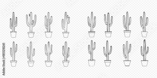 Set of hand-drawn cactus plants in pots, illustrating desert flora with a sketch art style.
