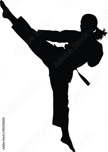 Female martial artist in silhouette executing a powerful high side kick