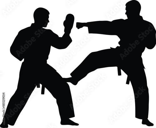 Two martial artists engage in dynamic combat practice, demonstrating a powerful kick and a defensive block