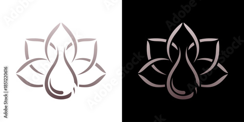 water drops and leaves logo icon for spa company