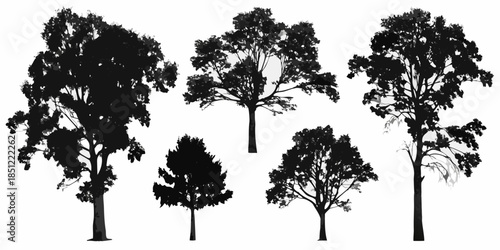 Silhouettes of various trees against a neutral light background