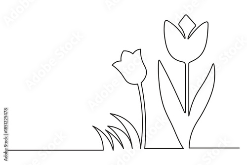 Simple Continuous Line Sketch of Meadow Flowers and Grasses for Minimalist Floral Art