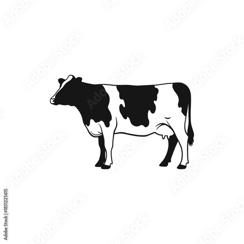 cow on a white background