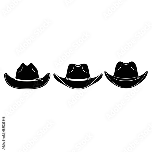 vector illustration of a pair of hats