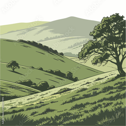 Green hillside with trees and mountain range in background 1