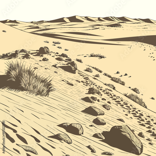 Desert plain with wind swept sand and rocks