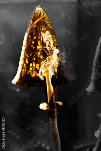 volutes de fumée devant une lampe champignon