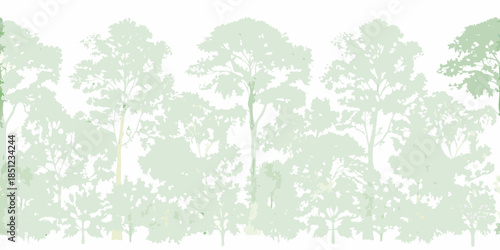 A serene landscape featuring a dense forest of tall slender pine trees