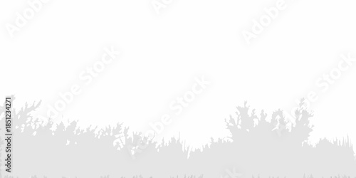 Silhouetted trees against a bright almost white expansive sky