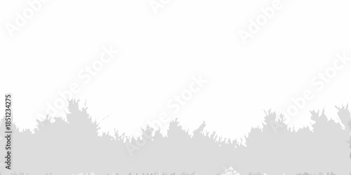 Silhouetted trees against a bright hazy and almost white sky