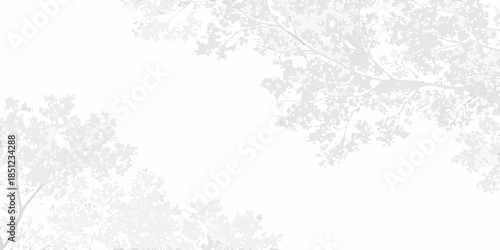 Delicate tree branches frame a largely white and empty space