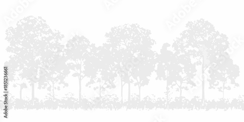 A grayscale silhouette of a dense forest with tall slender trees