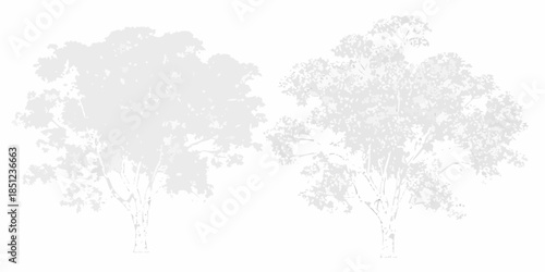 Two silhouetted trees with dense foliage against a plain white background