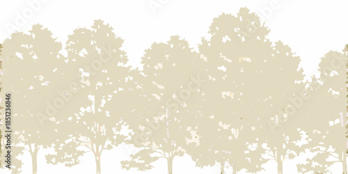 A silhouetted view of a dense forest with tall slender trees