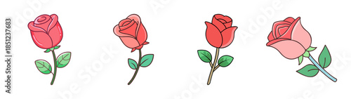 Four roses with different colors and leaves