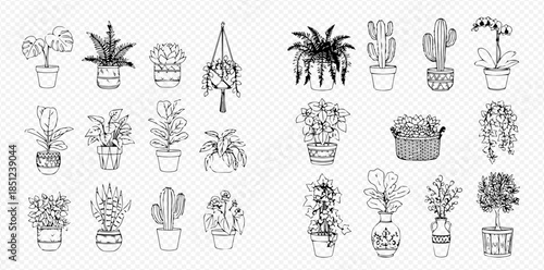 Set of various hand-drawn potted house plants and succulents, black and white line art illustration.