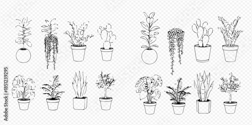 Set of various potted house plants and succulents in black and white line art illustration.