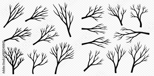 Set of bare tree branches and small trees, silhouettes on a transparent background, vector illustration.