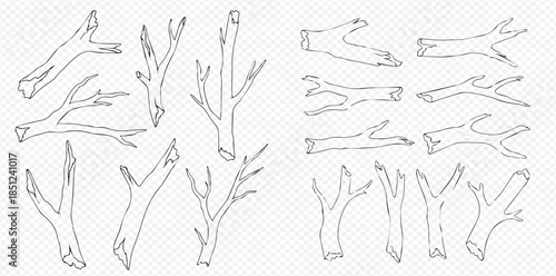 Set of hand-drawn tree branches and twigs, natural wooden elements for design, isolated on transparent background.