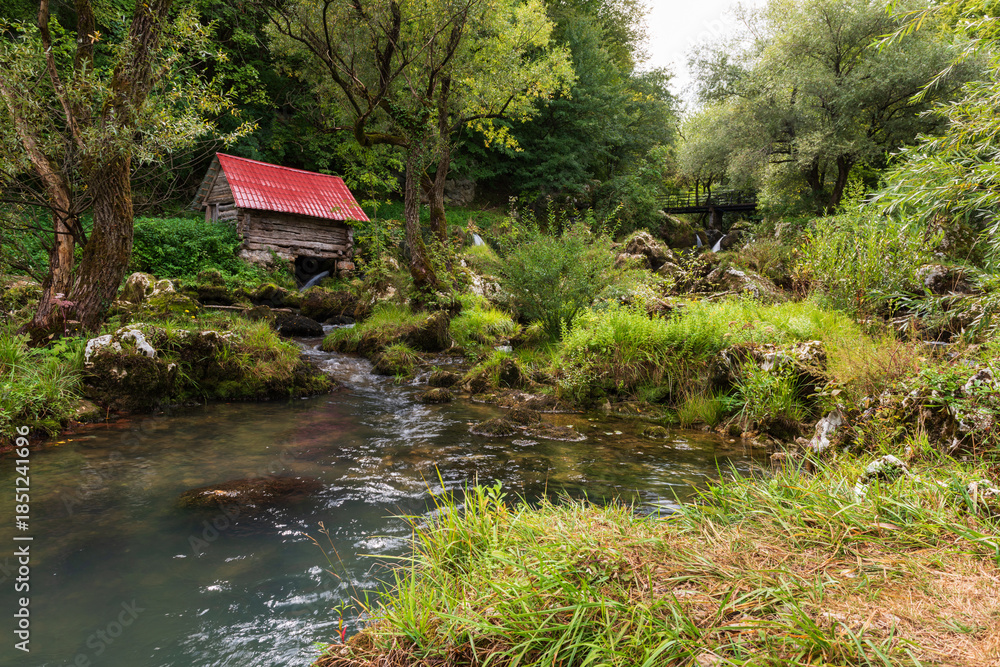 Obraz premium Landscape on edge of forest with old wooden water mill and fast flow creek among mossy stones and bridge in background, rural calm scene