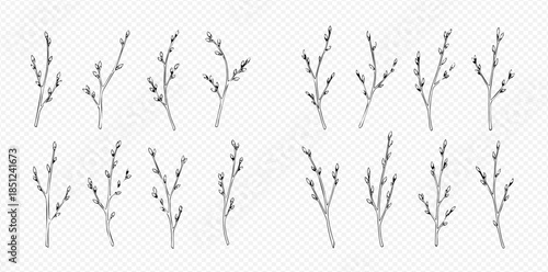 Set of hand-drawn willow branches with buds, perfect for spring and Easter designs.