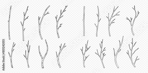 Set of bare tree branches, twigs, and sticks in various shapes and sizes.