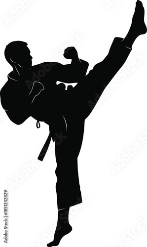 Powerful martial artist performing a dynamic high kick in a striking silhouette