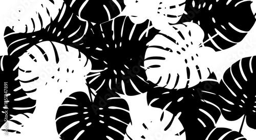 Monstera leaf pattern design for modern textiles, wall art, and graphic design projects, bringing a stylish botanical vibe to any creative endeavor
