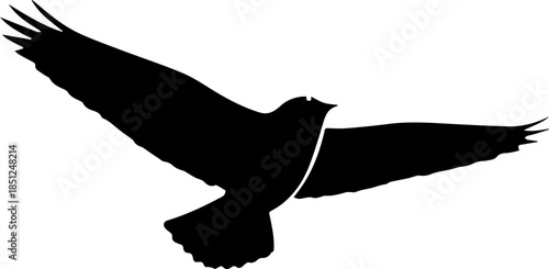 Majestic bird soars with wings spread wide, a symbol of freedom, hope, and new beginnings, perfect for nature designs and spiritual concepts