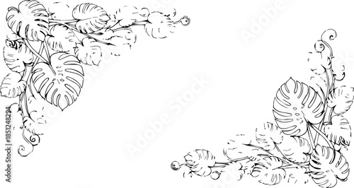 Delicate monstera leaf corner accents for elegant invitation design or tropical themed graphic project, originally scalable vector for crisp detail