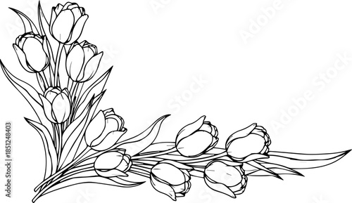 Elegant tulip bouquet line art for stylish invitations and springtime designs, a delicate floral corner accent with timeless appeal for creative projects