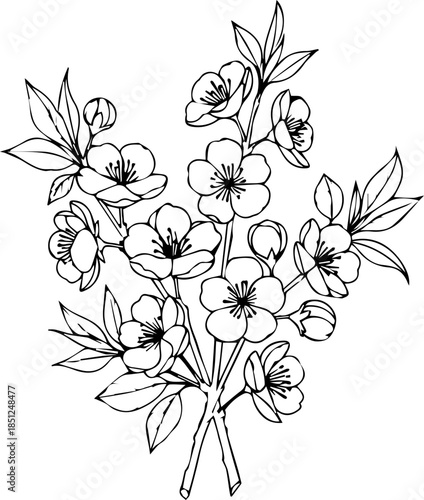 Elegant blossoming cherry branch artwork for modern designs and spring projects, adding a touch of nature, perfect for invitations and branding