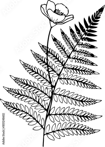 Elegant botanical illustration featuring a fern frond and delicate flower, perfect for nature-inspired designs, invitations, and creative projects