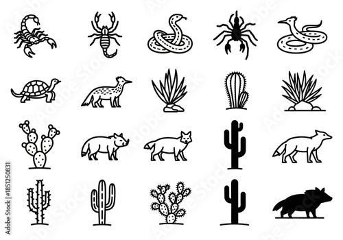 A collection of desert wildlife and cacti illustrations from a top-down viewpoint