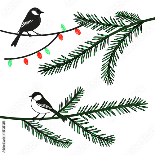 winter background with birds