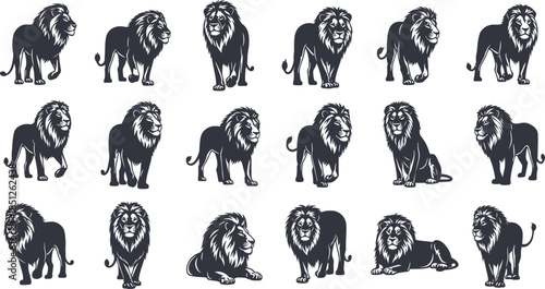Lion illustrations set showing different poses of majestic wild animal isolated on white background wildlife safari vector collection