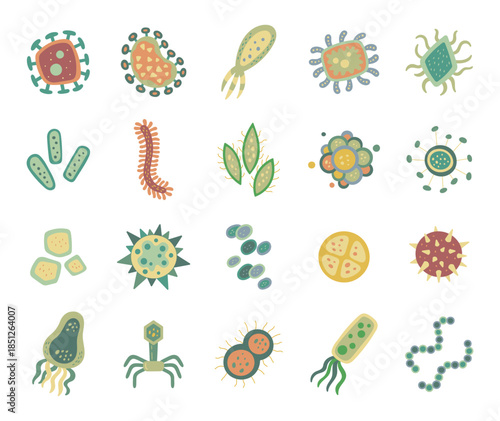 Microorganism set in scandinavian style featuring virus, bacteria, amoeba, phage spores, cells, colonies, chains, flagellum, capsules, clusters for your illustration and designs projects