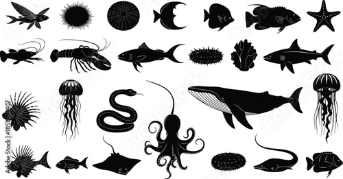 Marine life silhouettes collection, ocean animals set, fish jellyfish octopus whale icons, underwater wildlife, black and white vector illustration